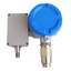 AdE Explosion-proof Pressure Transmitter 'AdE-MEL-V'