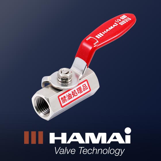 【完全禁油】レバー式ステンレス製ボールバルブ　BSS-43型