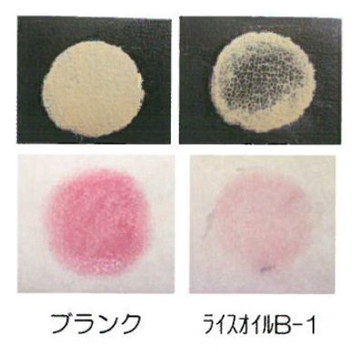 植物性油脂『ライスオイルB-1』【天然の抗酸化成分を豊富に含む】