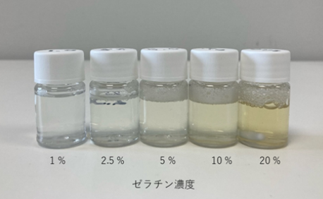 【測定事例】ゼラチン濃度と運動性