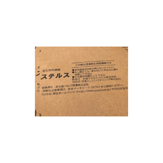 ステルス?.JPG