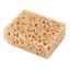 Sample cleaning sponge "Araerukun"