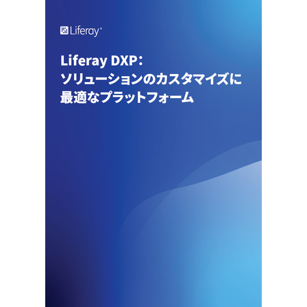 【資料】ソリューションのカスタマイズに適切なプラットフォーム1.png