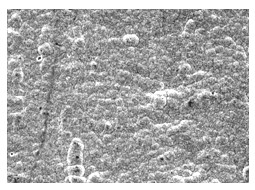 耐食性に優れた無電解Ni-P/置換Auめっき 代替めっきプロセス