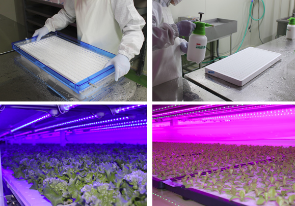 協栄興業株式会社　事業紹介