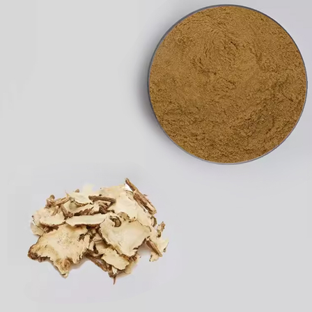 Atractylodes