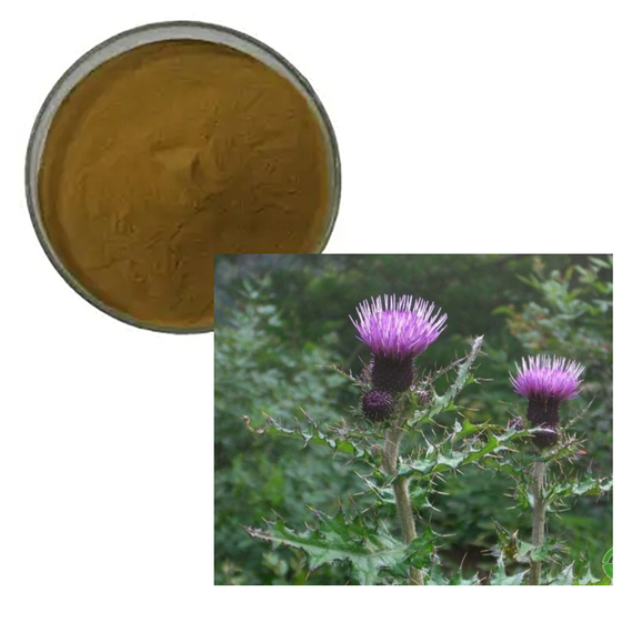 Cirsii Japonici Extract.jpg
