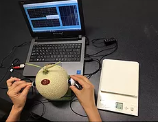 小型果実硬度測定装置『聴振器（2点接触式）』