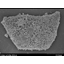 Selective adsorption function "Hydroxyapatite" for cosmetic developers *Case studies available