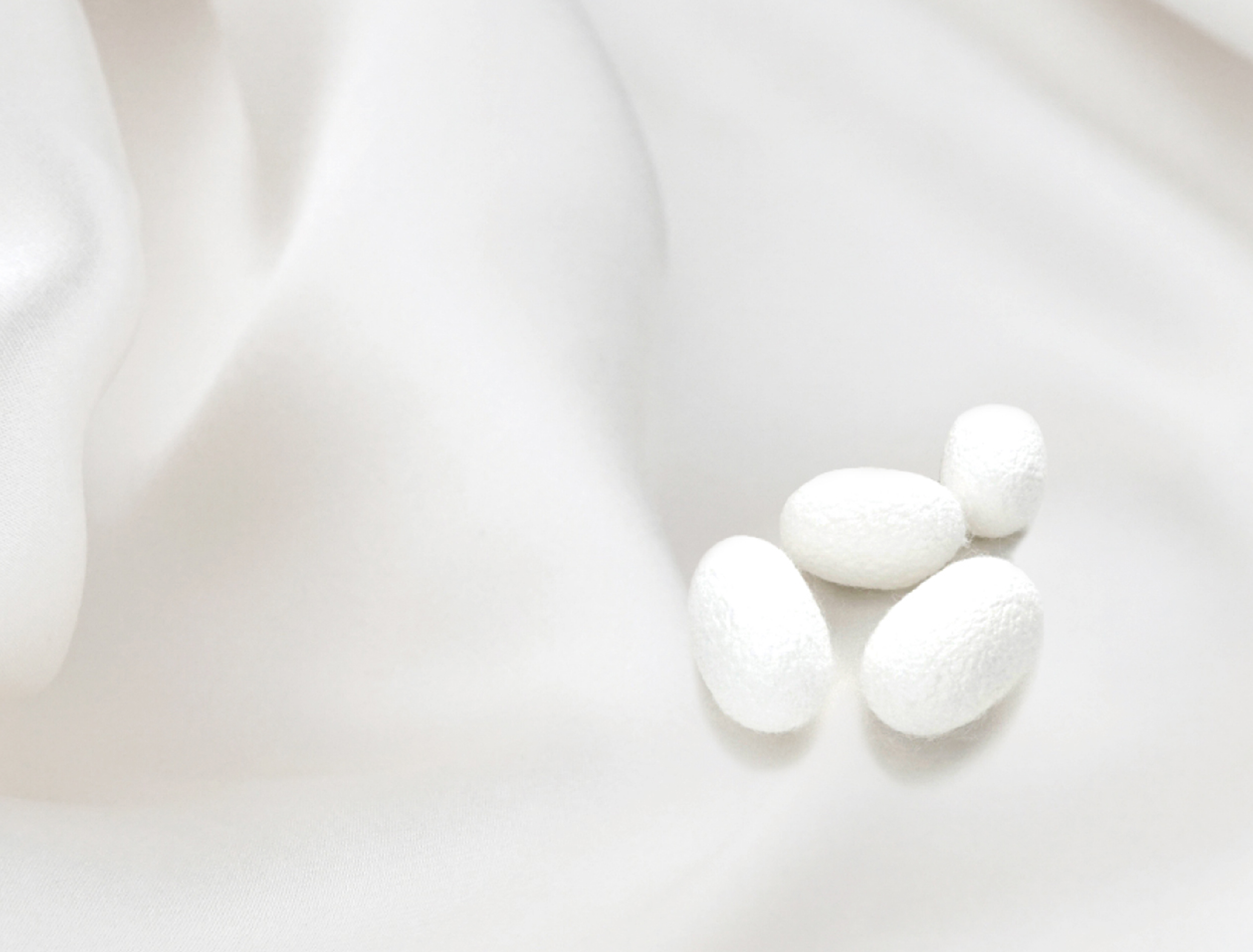 快適素材『サラドラ』