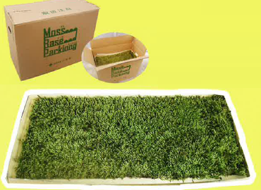 IPROS5719204790907220501.png