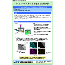 【分析事例】ソフトマテリアルの断面観察と元素分析