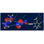 What can be understood from quantum chemistry calculations