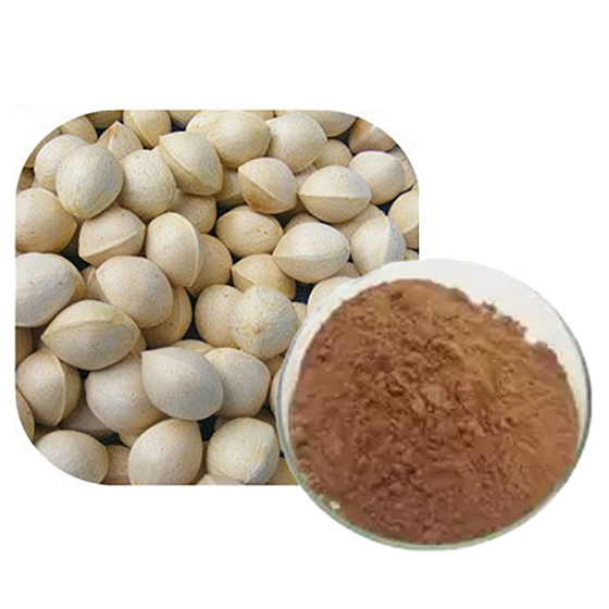 Ginkgo Biloba Extract.jpg