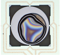 MSSチップ＜感応膜塗布＞