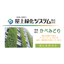 高品質、低価格の壁面緑化！かべみどり！