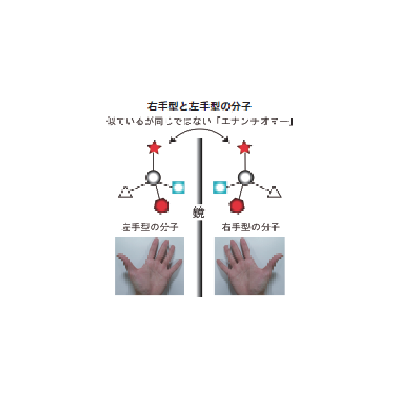 111-1画像.png