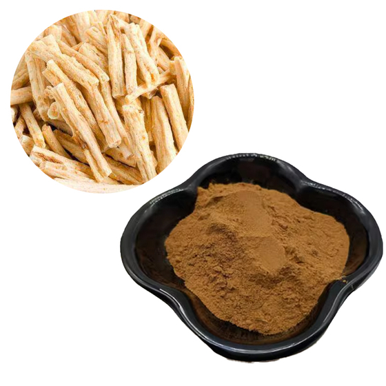 North American Ginseng Extract.jpg