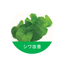 化粧品原料　コラーゲン産生促進リンクルケア植物エキス　センテラ