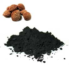 搾汁残渣の種子を再利用　チャコール原料『うめ種炭粉末』