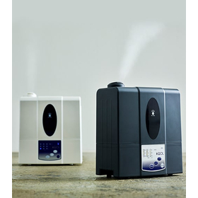 新衛生超音波式噴霧器　Ecolle【QOL】