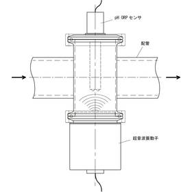 Ultrasonic cleaner for inline pH/ORP sensor electrodes