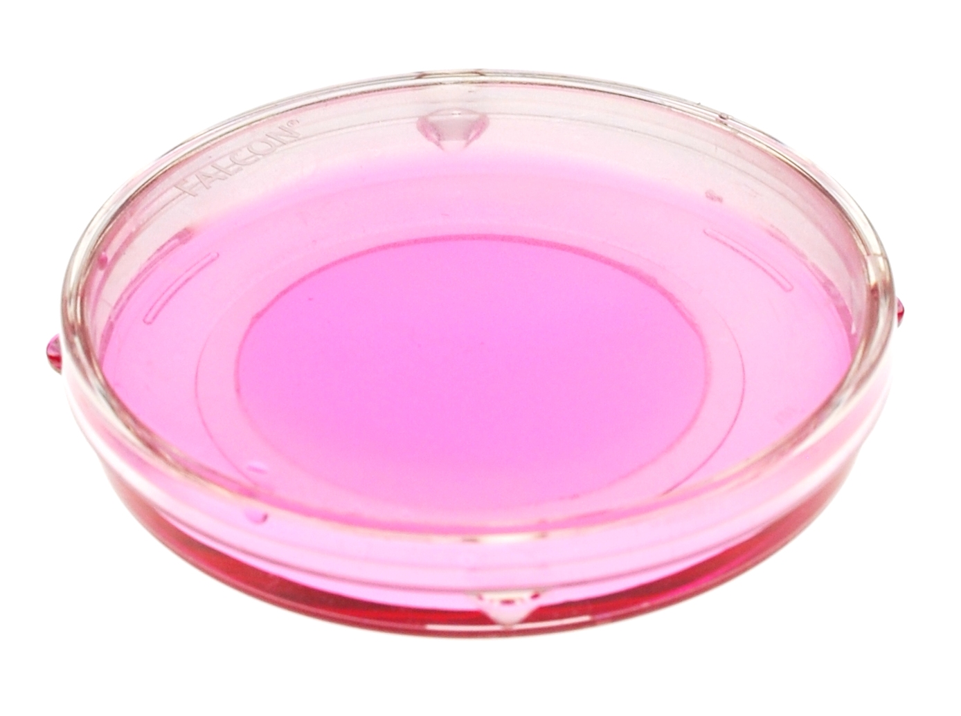 メディカルグレード ガラスボトムディッシュ