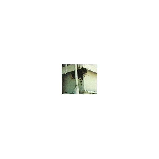 8.png