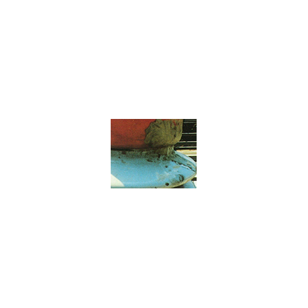 9.png