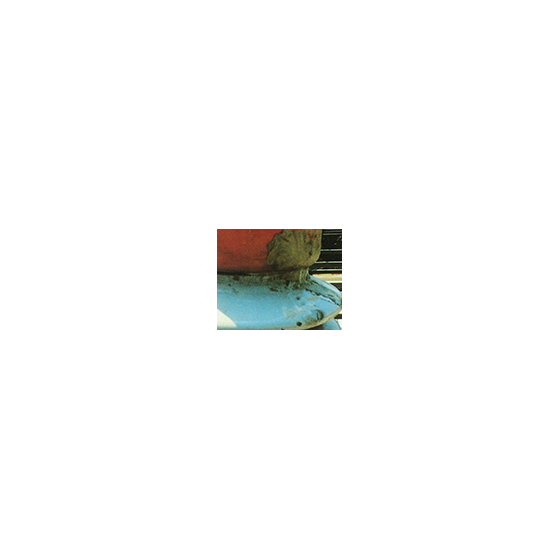 9.png