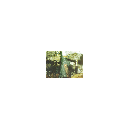 17.png