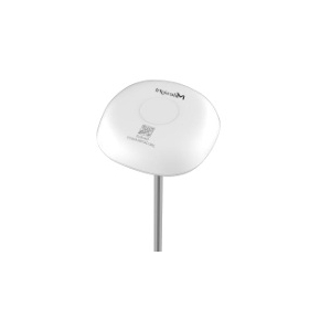 Shock-resistant LoRaWAN Insertable Temperature Sensor TS101