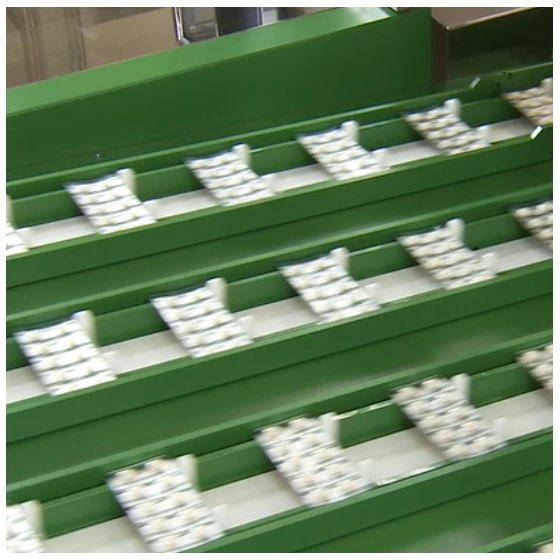 2021-06-02 (20)edit.png