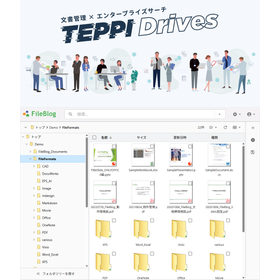 Enterprise Search / Document Manage...