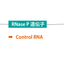 Control RNA, Human RNase P