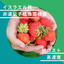 【高濃度菌根菌資材】作物根へリンや水分供給！生育促進や品質改善に