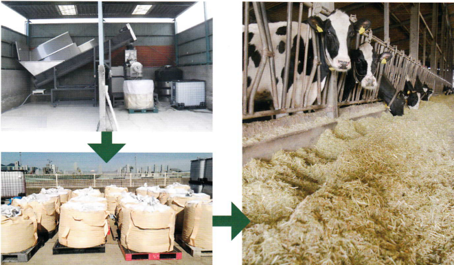 食品リサイクル『食品廃棄物オンサイト処理システム』