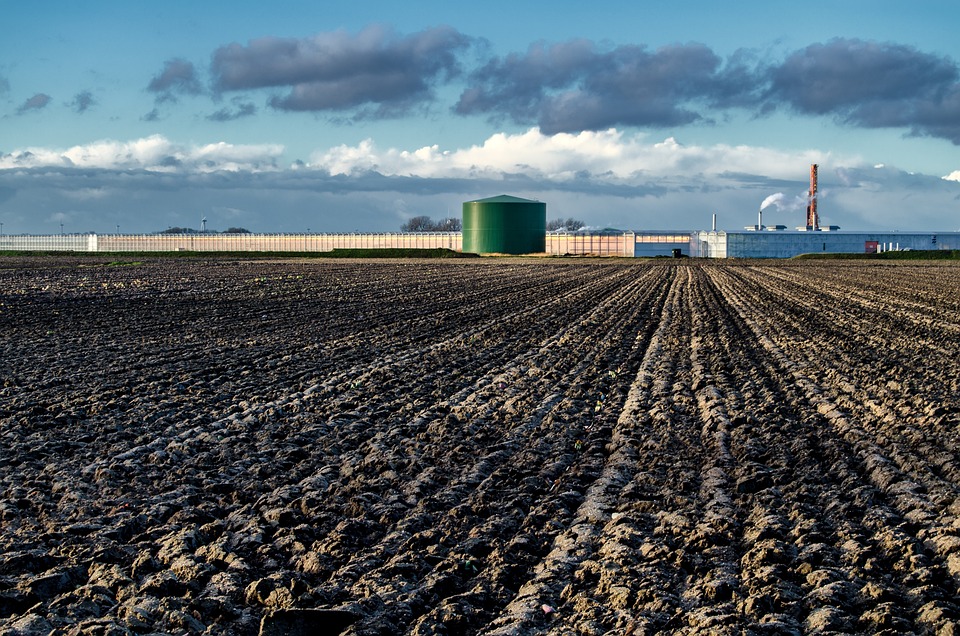 土壌汚染状況調査