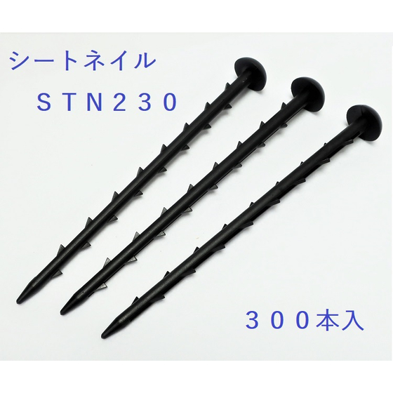 IMG_0268 - コピー.JPG