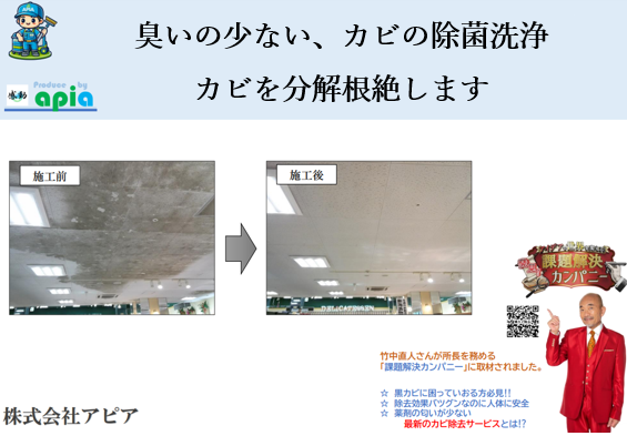 【飲食店向け】臭いの少ないカビ除去で厨房衛生を改善