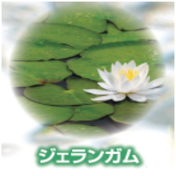 ジェランガム.png