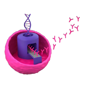 10.png