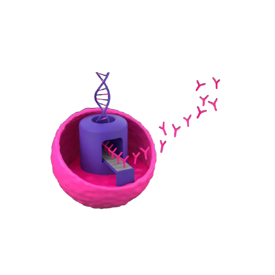 10.png