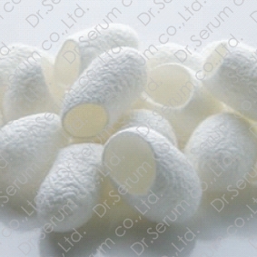 脂肪吸着素材『シルクフィブロイン』