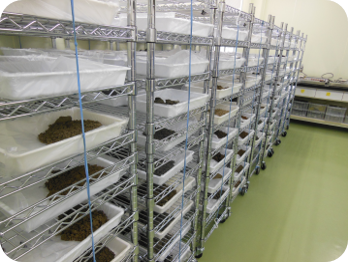 土壌分析事業のご案内