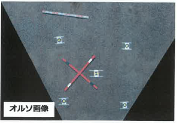 オルソ画像変換サービス『天空の瞳』