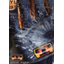 Yuasa Glove Dragonfly Rescue Product Catalog Vol. 30