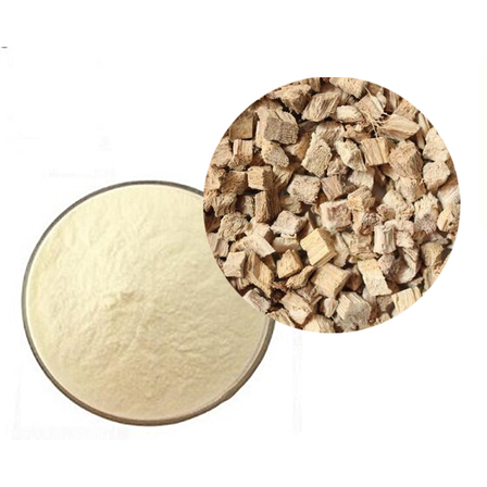 Pueraria