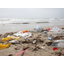 海洋プラスチック問題への取り組みは 企業の社会的責任です
