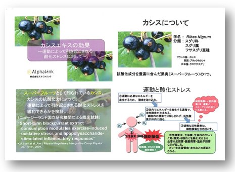 カシスエキスの効果